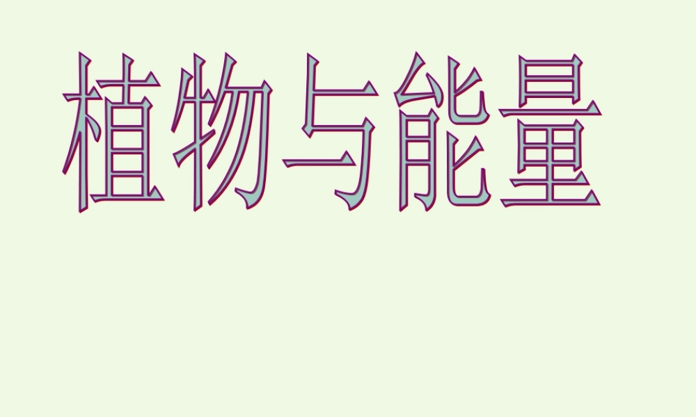 六年级科学上册 第9课 植物与能量课件4 冀教版-冀教版小学六年级上册自然科学课件