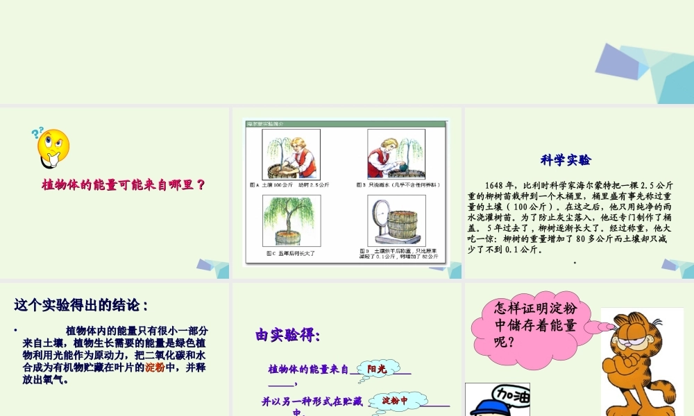 六年级科学上册 第9课 植物与能量课件4 冀教版-冀教版小学六年级上册自然科学课件