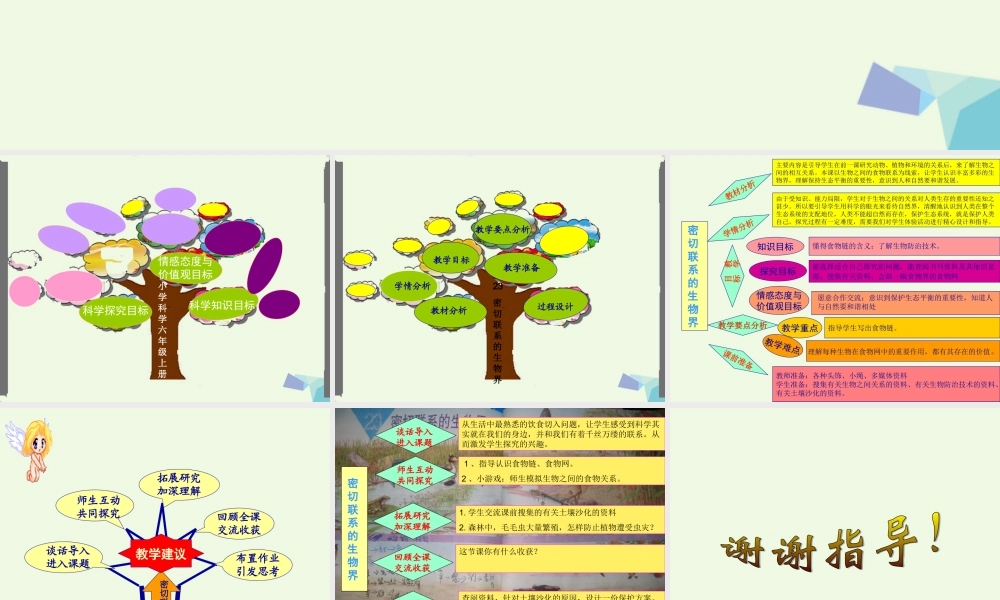 六年级科学上册 密切联系的生物界说课课件 青岛版-青岛版小学六年级上册自然科学课件