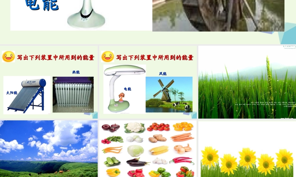 六年级科学上册 第9课 植物与能量课件5 冀教版-冀教版小学六年级上册自然科学课件