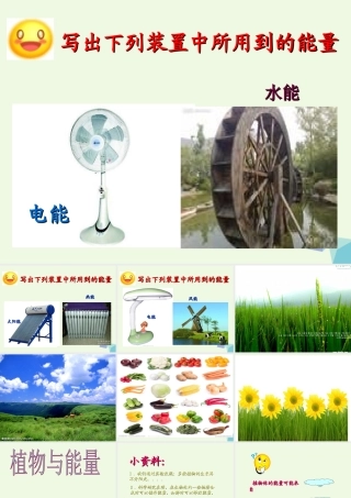 六年级科学上册 第9课 植物与能量课件5 冀教版-冀教版小学六年级上册自然科学课件