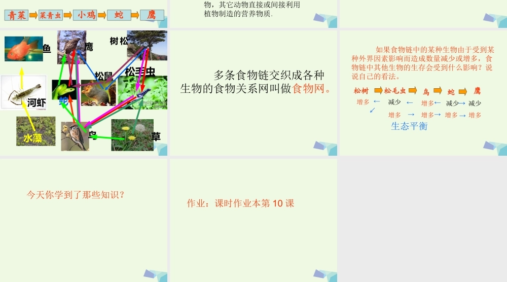 六年级科学上册 第10课 动物与能量课件1 冀教版-冀教版小学六年级上册自然科学课件