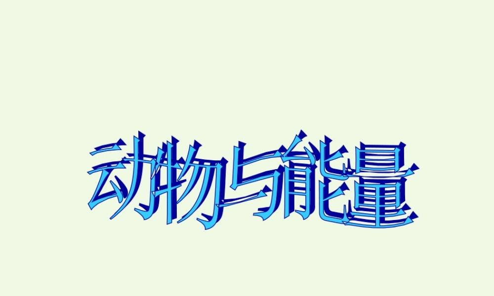 六年级科学上册 第10课 动物与能量课件2 冀教版-冀教版小学六年级上册自然科学课件