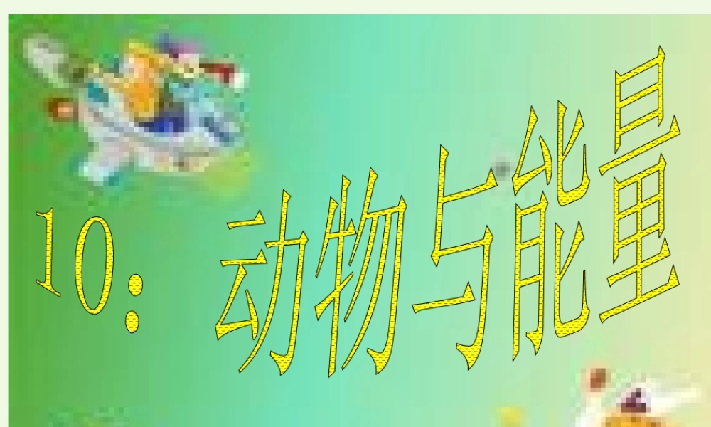 六年级科学上册 第10课 动物与能量课件3 冀教版-冀教版小学六年级上册自然科学课件