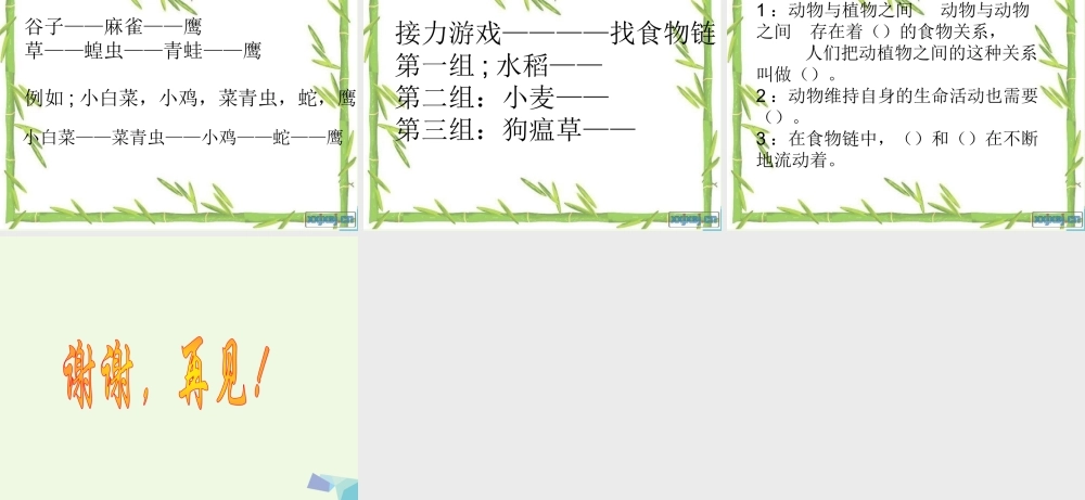 六年级科学上册 第10课 动物与能量课件3 冀教版-冀教版小学六年级上册自然科学课件