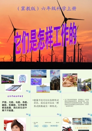 六年级科学上册 第11课 它们是怎样工作的课件2 冀教版-冀教版小学六年级上册自然科学课件