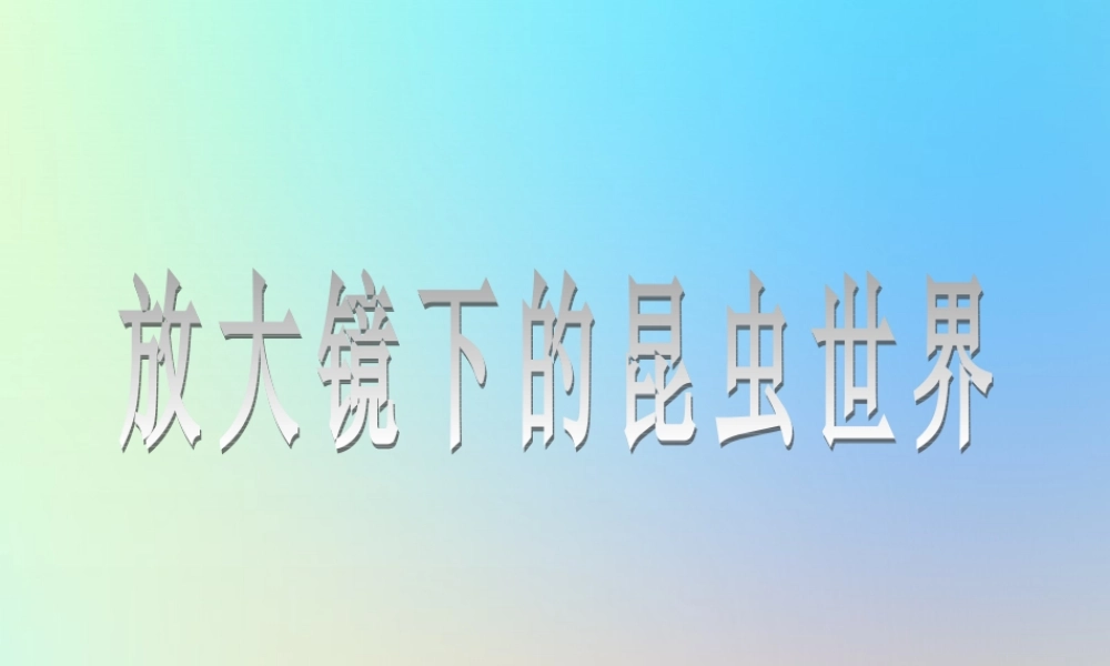 六年级科学下册 第一单元 微小世界 2放大镜下的昆虫世界课件 教科版-教科版小学六年级下册自然科学课件