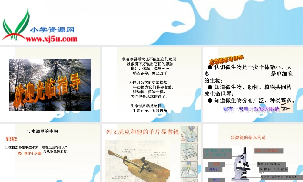 六年级科学上册 水滴里的生物课件1 苏教版