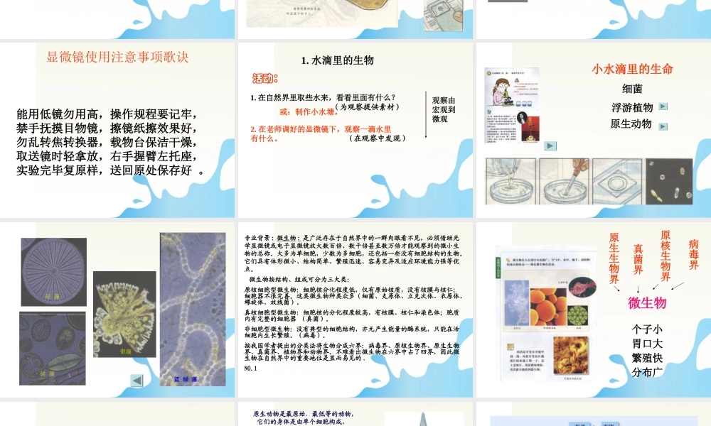 六年级科学上册 水滴里的生物课件1 苏教版
