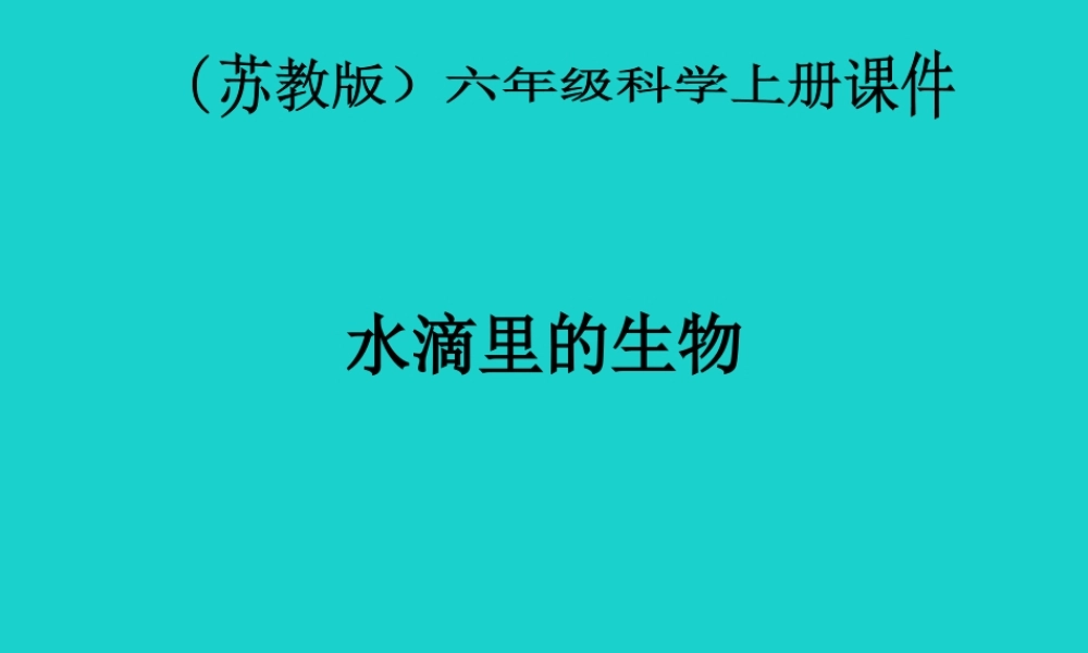六年级科学上册 水滴里的生物课件1 苏教版-苏教版小学六年级上册自然科学课件