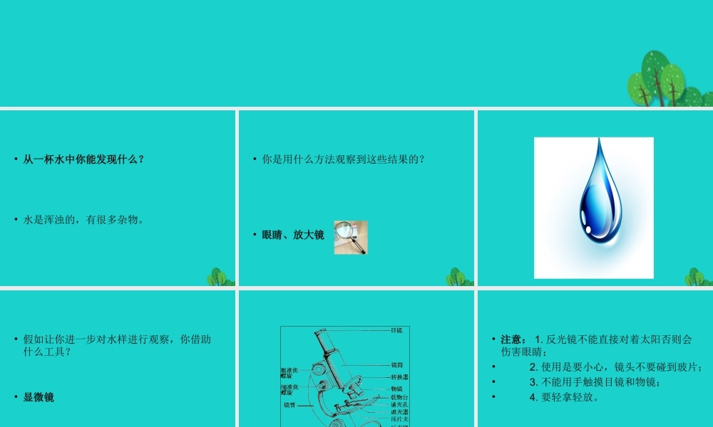 六年级科学上册 水滴里的生物课件1 苏教版-苏教版小学六年级上册自然科学课件