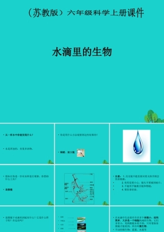 六年级科学上册 水滴里的生物课件1 苏教版-苏教版小学六年级上册自然科学课件