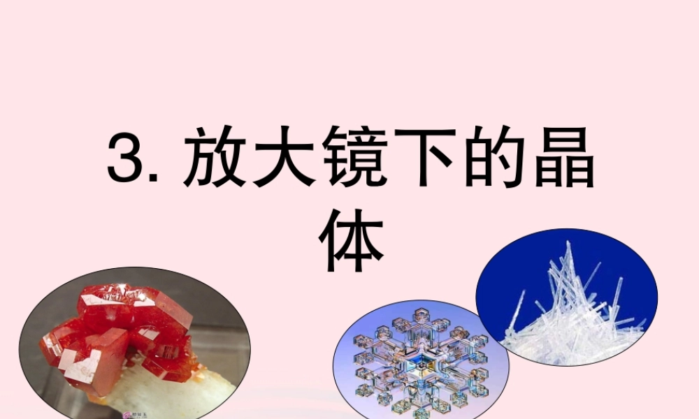 六年级科学下册 第一单元 微小世界 3 放大镜下的晶体课件 教科版-教科版小学六年级下册自然科学课件