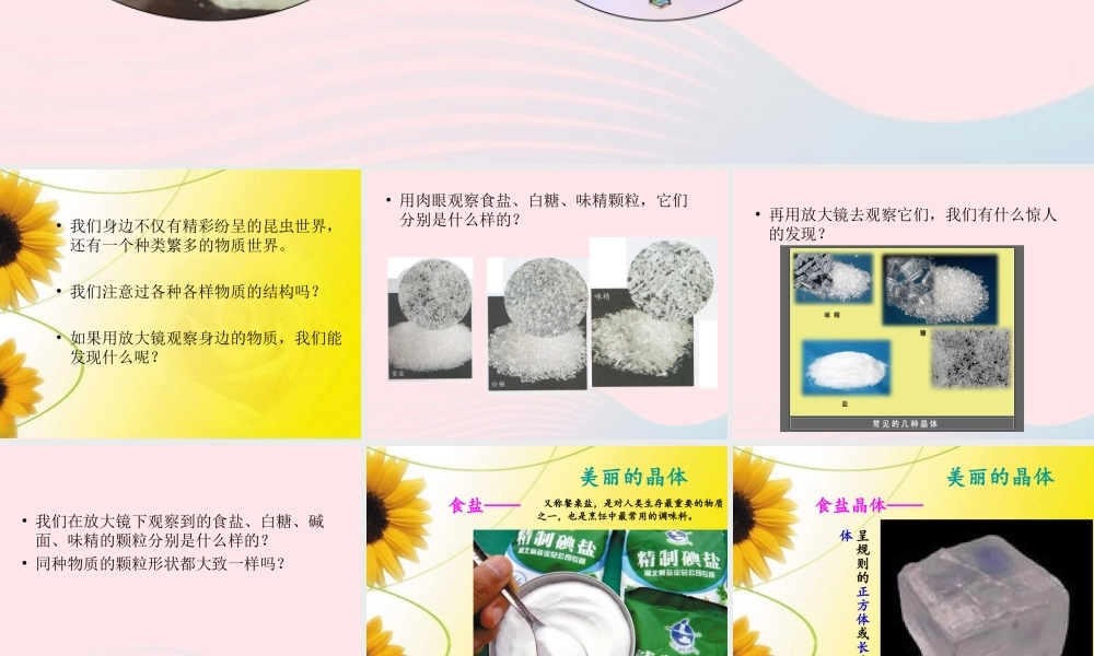 六年级科学下册 第一单元 微小世界 3 放大镜下的晶体课件 教科版-教科版小学六年级下册自然科学课件