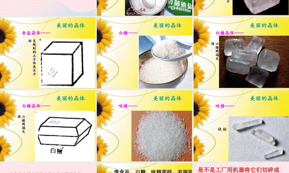 六年级科学下册 第一单元 微小世界 3 放大镜下的晶体课件 教科版-教科版小学六年级下册自然科学课件