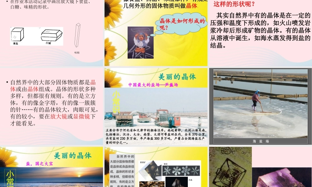 六年级科学下册 第一单元 微小世界 3 放大镜下的晶体课件 教科版-教科版小学六年级下册自然科学课件