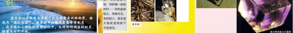 六年级科学下册 第一单元 微小世界 3 放大镜下的晶体课件 教科版-教科版小学六年级下册自然科学课件