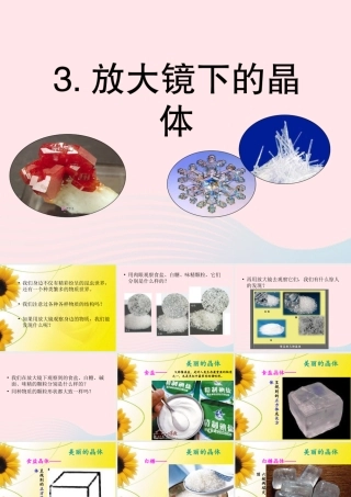 六年级科学下册 第一单元 微小世界 3 放大镜下的晶体课件 教科版-教科版小学六年级下册自然科学课件