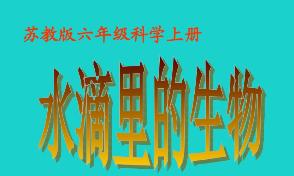 六年级科学上册 水滴里的生物课件2 苏教版-苏教版小学六年级上册自然科学课件