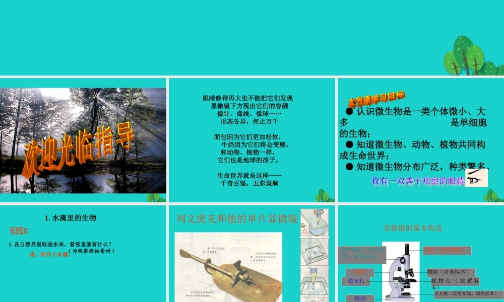 六年级科学上册 水滴里的生物课件2 苏教版-苏教版小学六年级上册自然科学课件