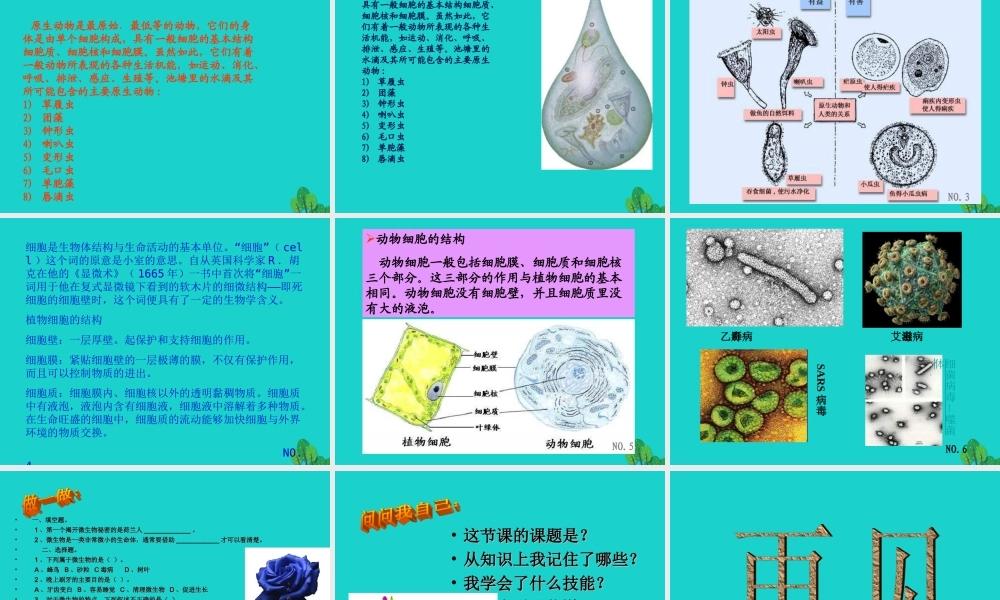 六年级科学上册 水滴里的生物课件2 苏教版-苏教版小学六年级上册自然科学课件