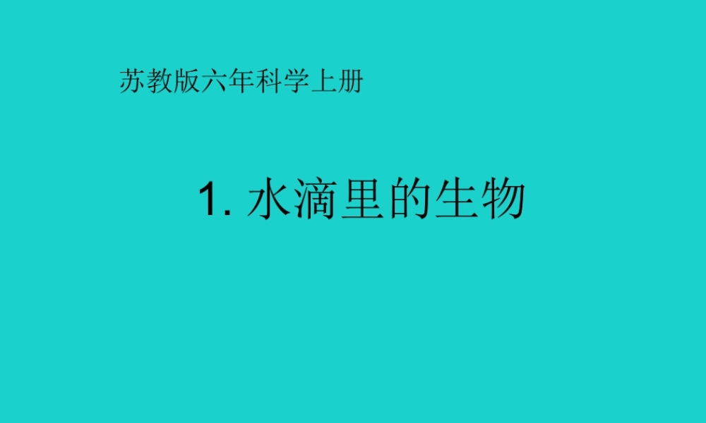 六年级科学上册 水滴里的生物课件3 苏教版-苏教版小学六年级上册自然科学课件