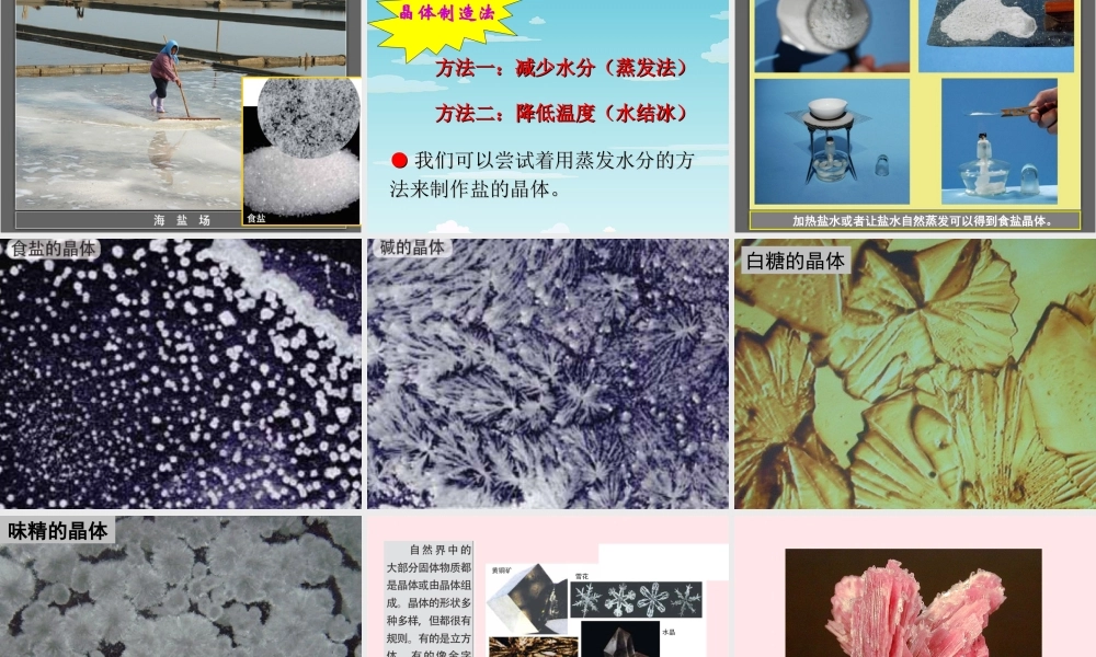 六年级科学下册 第一单元 微小世界 3 放大镜下的晶体课件1 教科版-教科版小学六年级下册自然科学课件