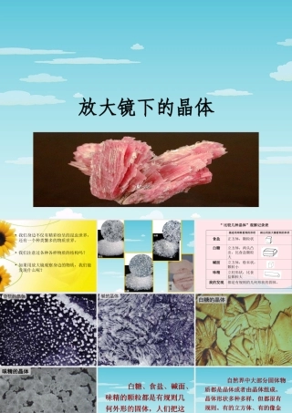 六年级科学下册 第一单元 微小世界 3 放大镜下的晶体课件1 教科版-教科版小学六年级下册自然科学课件