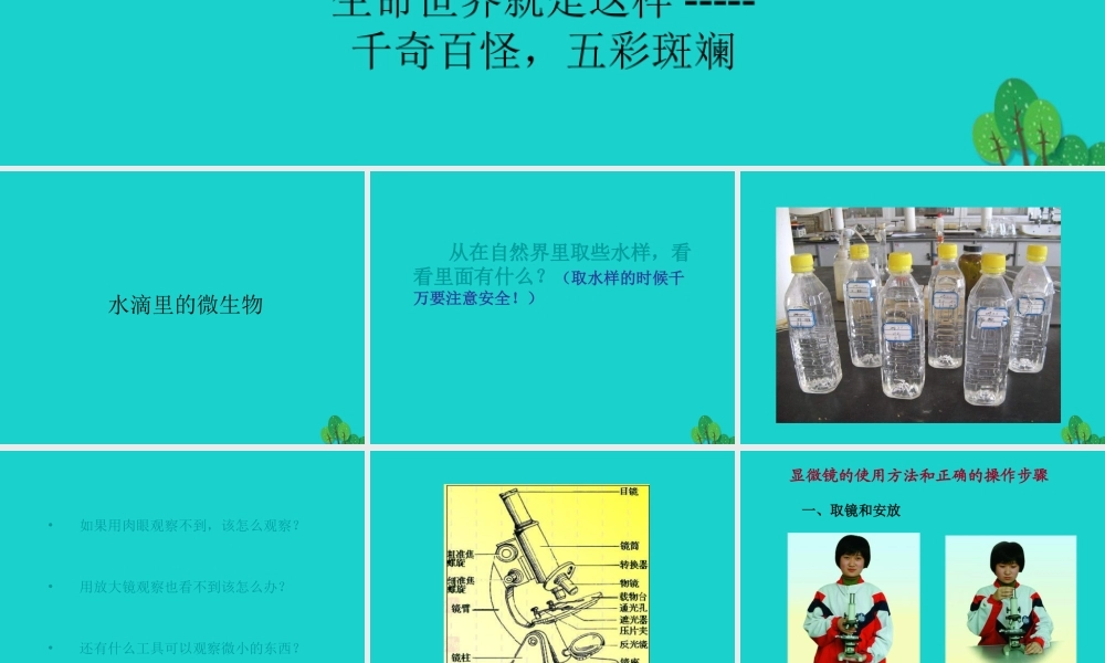 六年级科学上册 水滴里的生物课件4 苏教版-苏教版小学六年级上册自然科学课件