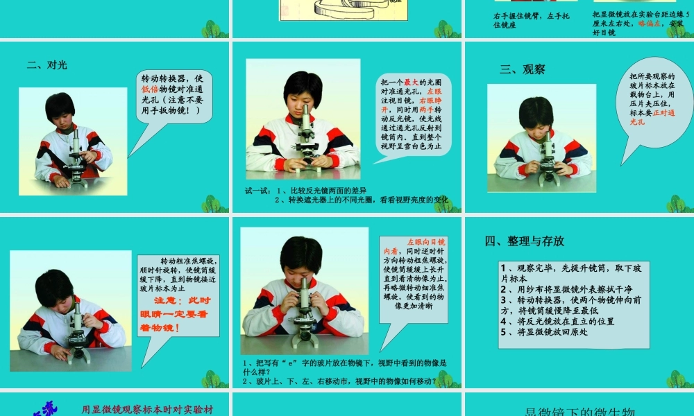 六年级科学上册 水滴里的生物课件4 苏教版-苏教版小学六年级上册自然科学课件