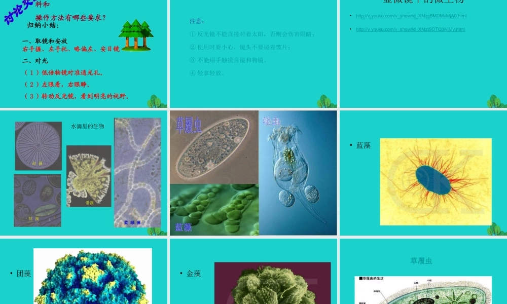 六年级科学上册 水滴里的生物课件4 苏教版-苏教版小学六年级上册自然科学课件
