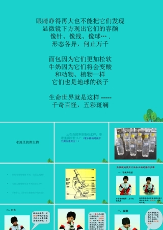 六年级科学上册 水滴里的生物课件4 苏教版-苏教版小学六年级上册自然科学课件