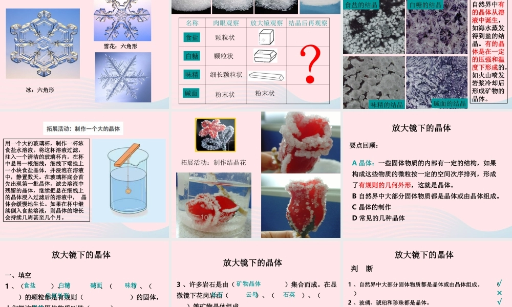 六年级科学下册 第一单元 微小世界 3 放大镜下的晶体课件3 教科版-教科版小学六年级下册自然科学课件
