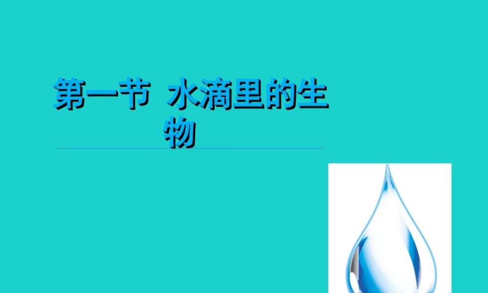 六年级科学上册 水滴里的生物课件5 苏教版-苏教版小学六年级上册自然科学课件