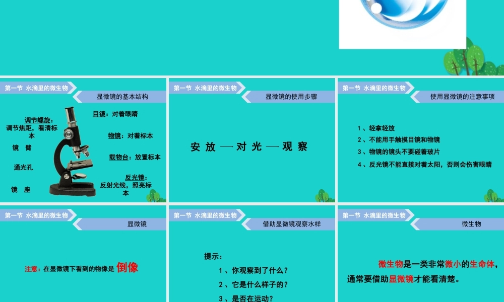 六年级科学上册 水滴里的生物课件5 苏教版-苏教版小学六年级上册自然科学课件