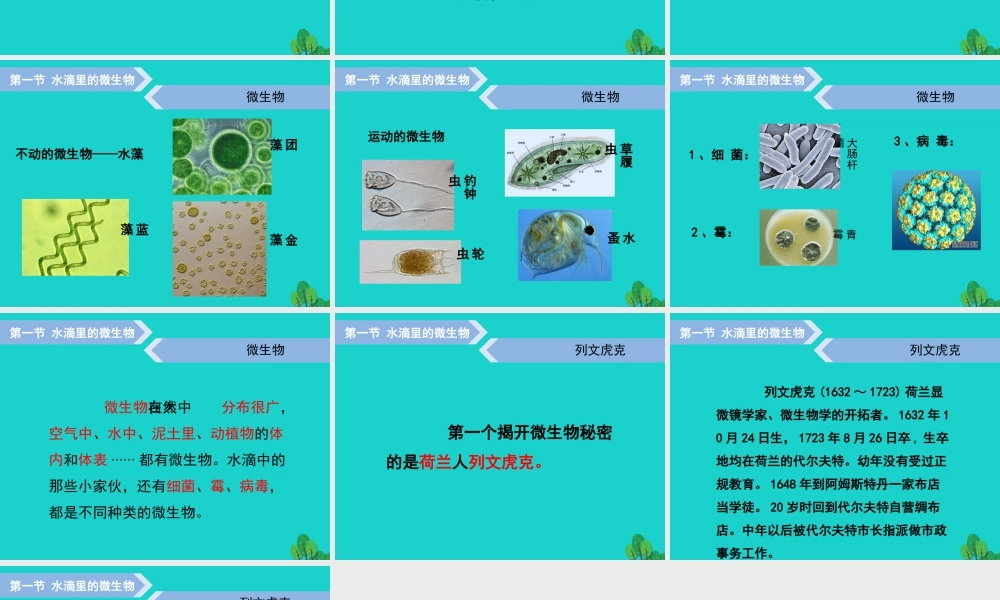 六年级科学上册 水滴里的生物课件5 苏教版-苏教版小学六年级上册自然科学课件