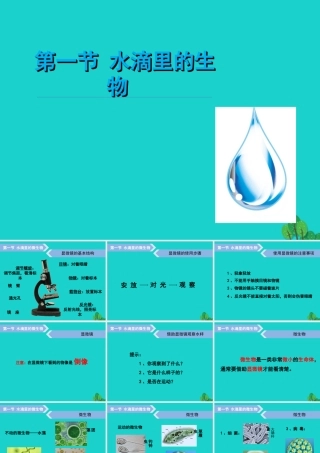 六年级科学上册 水滴里的生物课件5 苏教版-苏教版小学六年级上册自然科学课件
