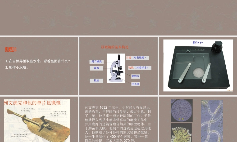 六年级科学上册 水滴里的世界课件 苏教版