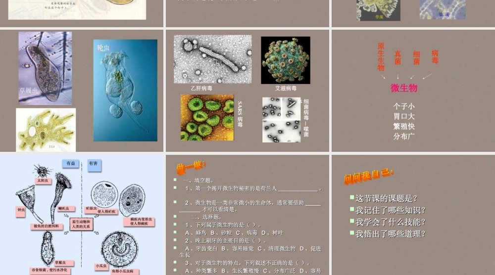 六年级科学上册 水滴里的世界课件 苏教版