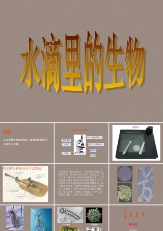 六年级科学上册 水滴里的世界课件 苏教版