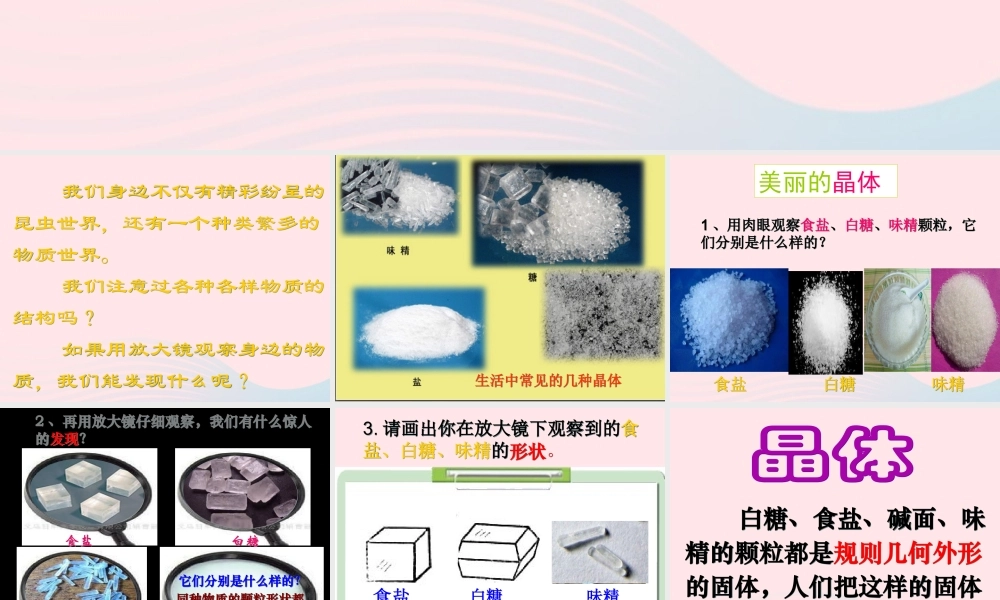 六年级科学下册 第一单元 微小世界 3《放大镜下的晶体》课件1 教科版-教科版小学六年级下册自然科学课件