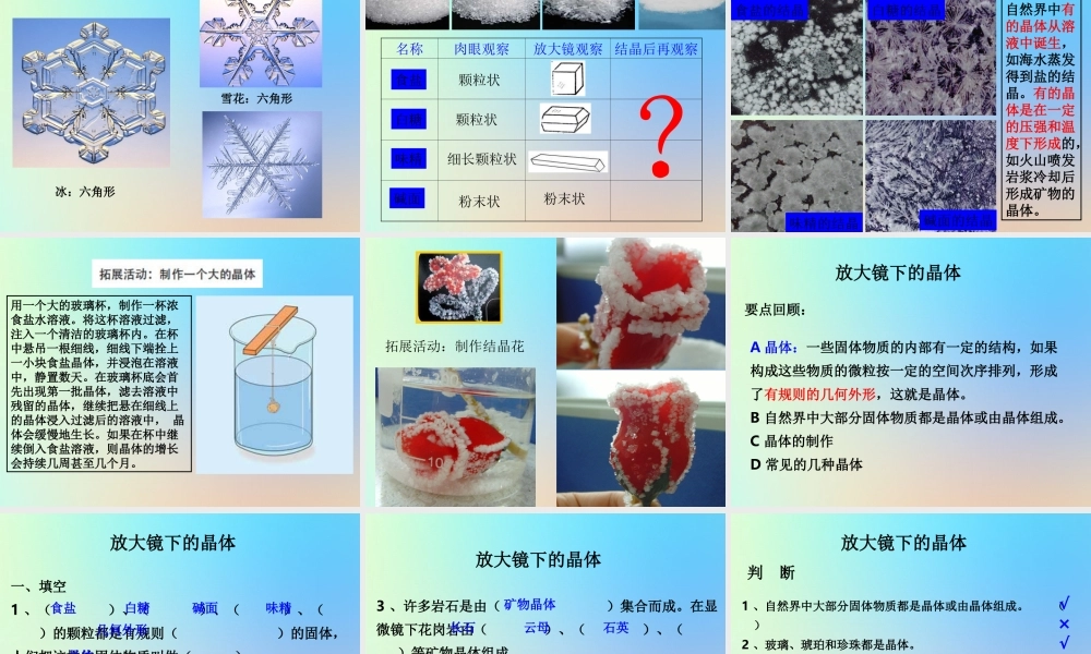 六年级科学下册 第一单元 微小世界 3放大镜下的晶体课件 教科版-教科版小学六年级下册自然科学课件