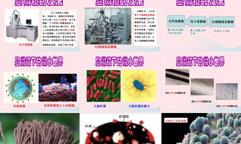 六年级科学下册 第一单元 微小世界 4 怎样放得更大课件 教科版-教科版小学六年级下册自然科学课件