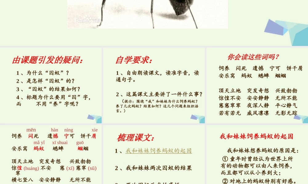 六年级语文上册 囚蚁课件1 鄂教版-鄂教版小学六年级上册语文课件