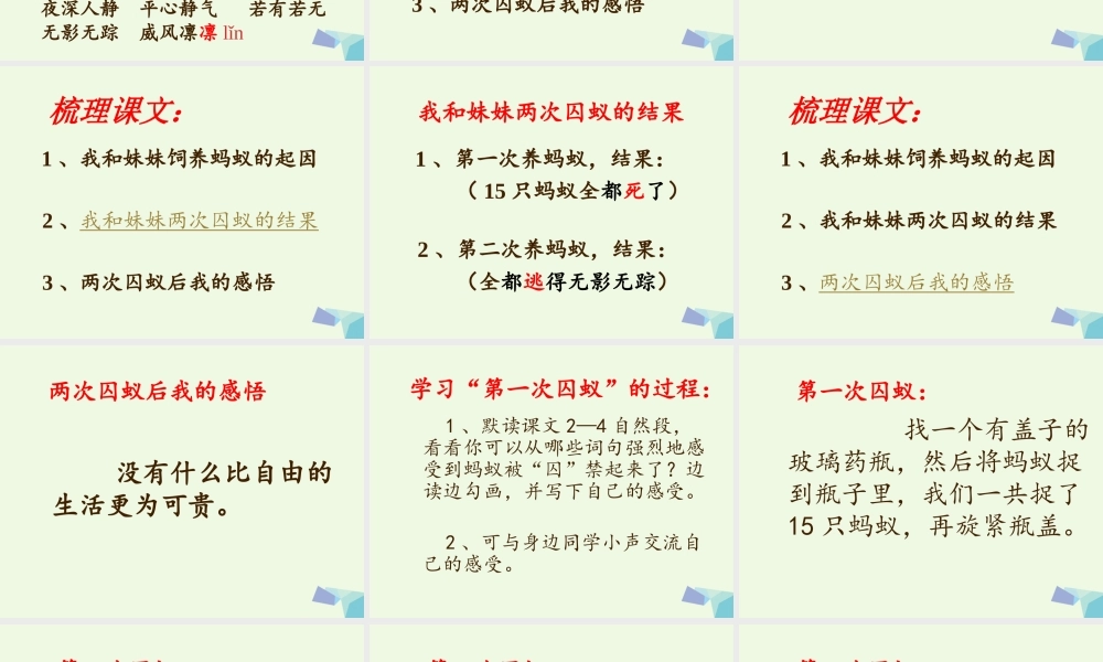 六年级语文上册 囚蚁课件1 鄂教版-鄂教版小学六年级上册语文课件