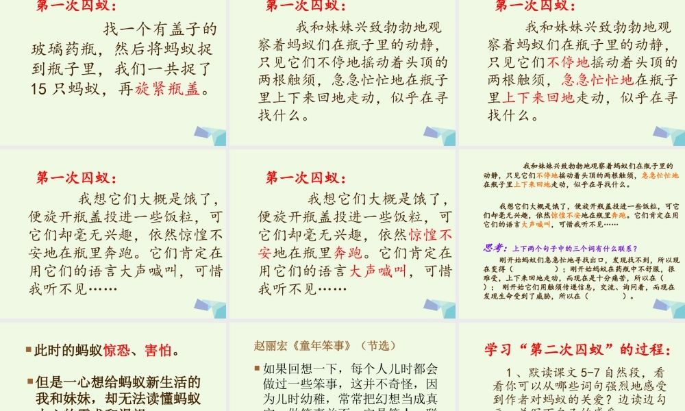 六年级语文上册 囚蚁课件1 鄂教版-鄂教版小学六年级上册语文课件