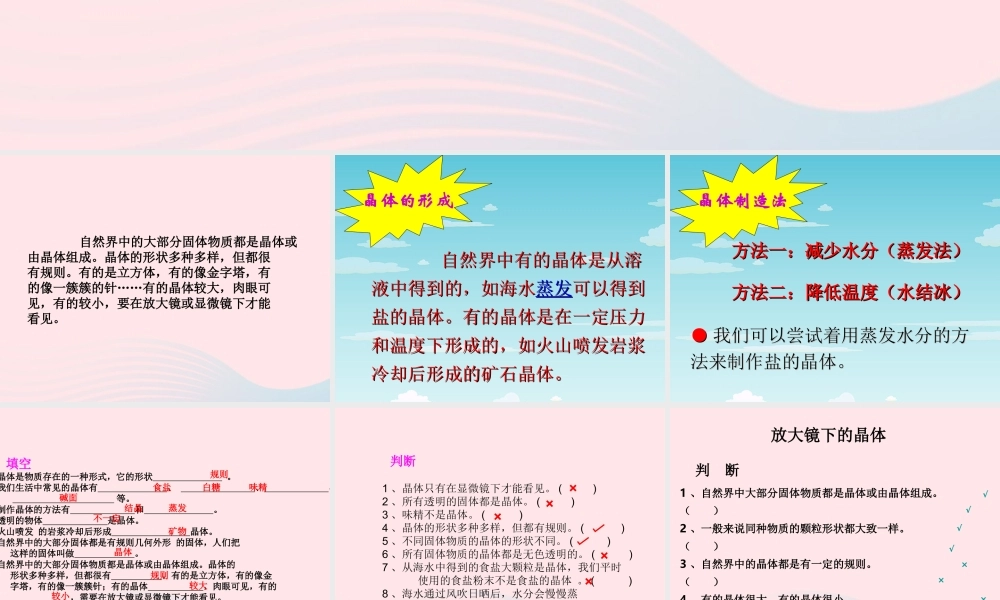 六年级科学下册 第一单元 微小世界 4《怎样放得更大》课件 教科版-教科版小学六年级下册自然科学课件