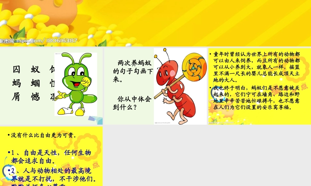 六年级语文上册 囚蚁课件2 鄂教版-鄂教版小学六年级上册语文课件