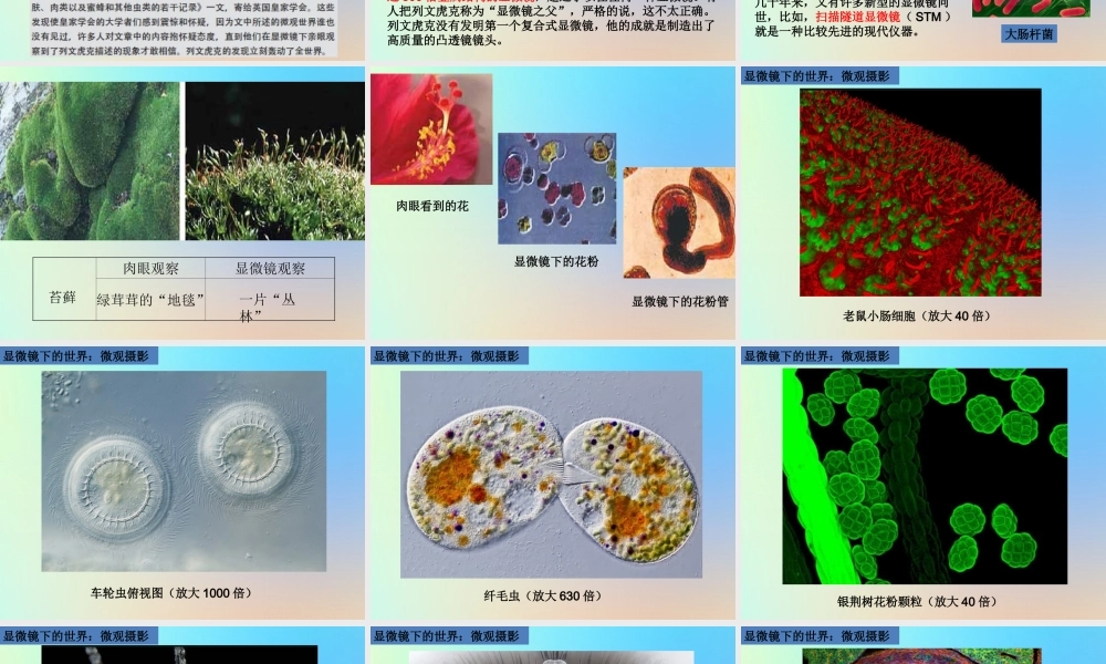 六年级科学下册 第一单元 微小世界 4怎样放得更大课件 教科版-教科版小学六年级下册自然科学课件