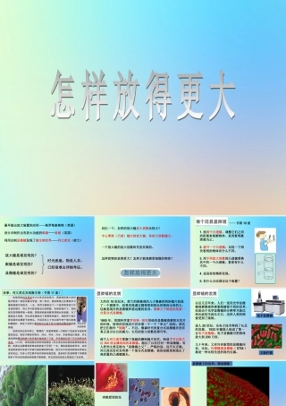 六年级科学下册 第一单元 微小世界 4怎样放得更大课件 教科版-教科版小学六年级下册自然科学课件